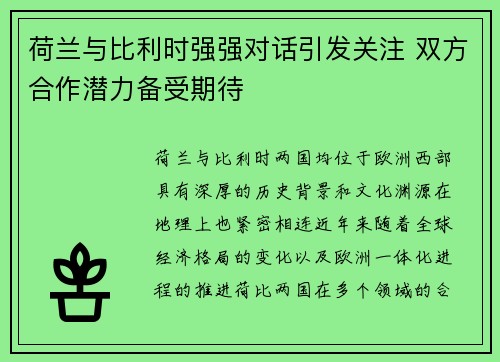 荷兰与比利时强强对话引发关注 双方合作潜力备受期待